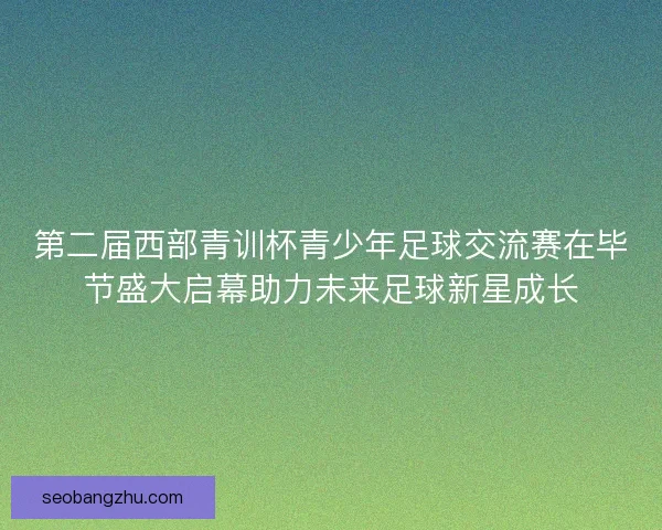 第二届西部青训杯青少年足球交流赛在毕节盛大启幕助力未来足球新星成长