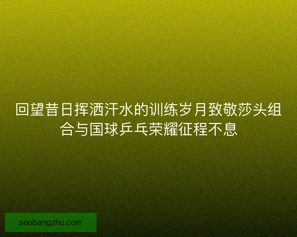 回望昔日挥洒汗水的训练岁月致敬莎头组合与国球乒乓荣耀征程不息